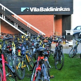 Vila baldininkas 9