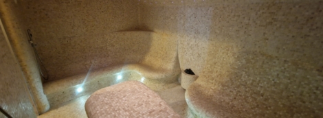 Vila Levita garinė pirtis