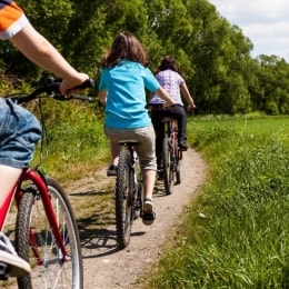 vila ula dviraciai 2