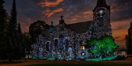 Vilniaus Šviesų festivalis PHYSARUM © Rami Saarikorpi