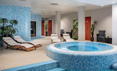 Vilnius Park Plaza baseinas ir pirtys 3