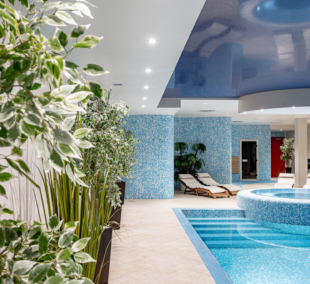 Vilnius Park Plaza baseinas ir pirtys