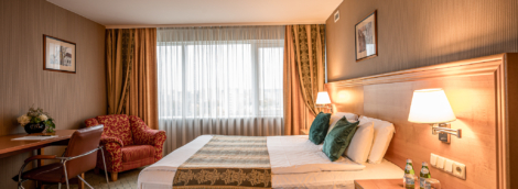 Vilnius Park Plaza standartinis kambarys 3