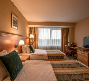 Vilnius Park Plaza standartinis kambarys 6