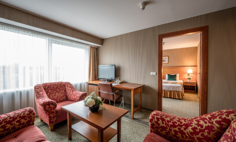 Vilnius Park Plaza verslo klasės kambarys 3