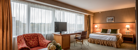 Vilnius Park Plaza verslo klasės kambarys 4