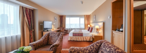 Vilnius Park Plaza verslo klasės kambarys 2