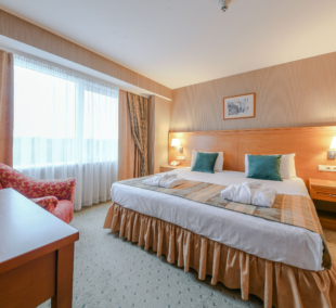 Vilnius Park Plaza vstandartinis kambarys 2