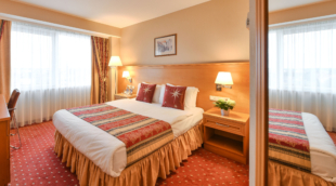 Vilnius Park Plaza vstandartinis kambarys