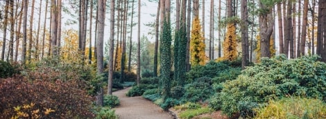 VU botanikos sodas ruduo diena horizontali Walkable Vilnius (2)