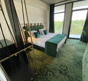 EGO SPA kambarys su vaizdu į pušyną 2