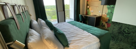 EGO SPA kambarys su vaizdu į pušyną 3