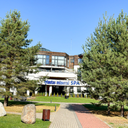 Vytautas Mineral SPA, Birštonas