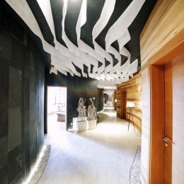 vytautas mineral spa birstone vaizdas 15199