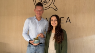 Yugen Tea, Matcha degustacija