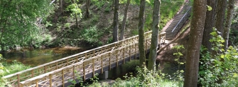 Griežto, Nikajaus takas