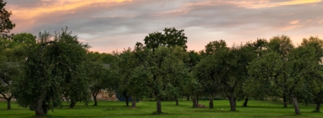Žemosios Panemunės dvaro sodininko namas 2