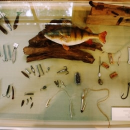 poilsis moletuose zvejybos muziejus zuvys 9186