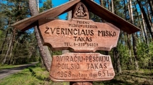   (1) nuotr. Saulius Jankauskas