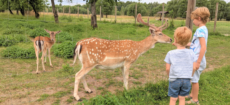 Poilsis šeimai (2+2)