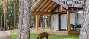 „Royal Horse Resort“