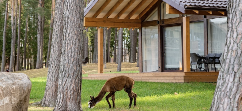 „Royal Horse Resort“